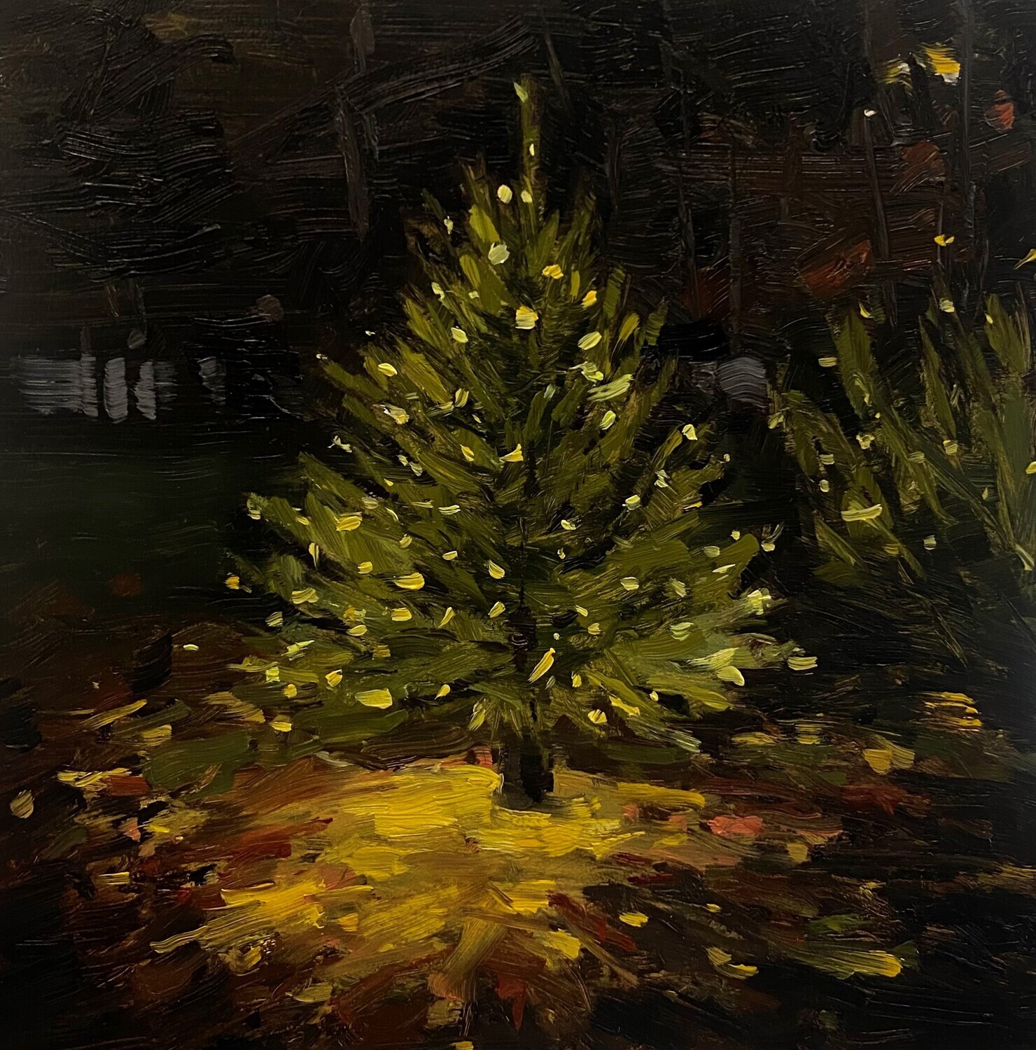 Theresa MacKnight Saint John New Brunswick Canada Handworks Canadian Painting, Oil, &quot;Little Fir Tree&quot;
