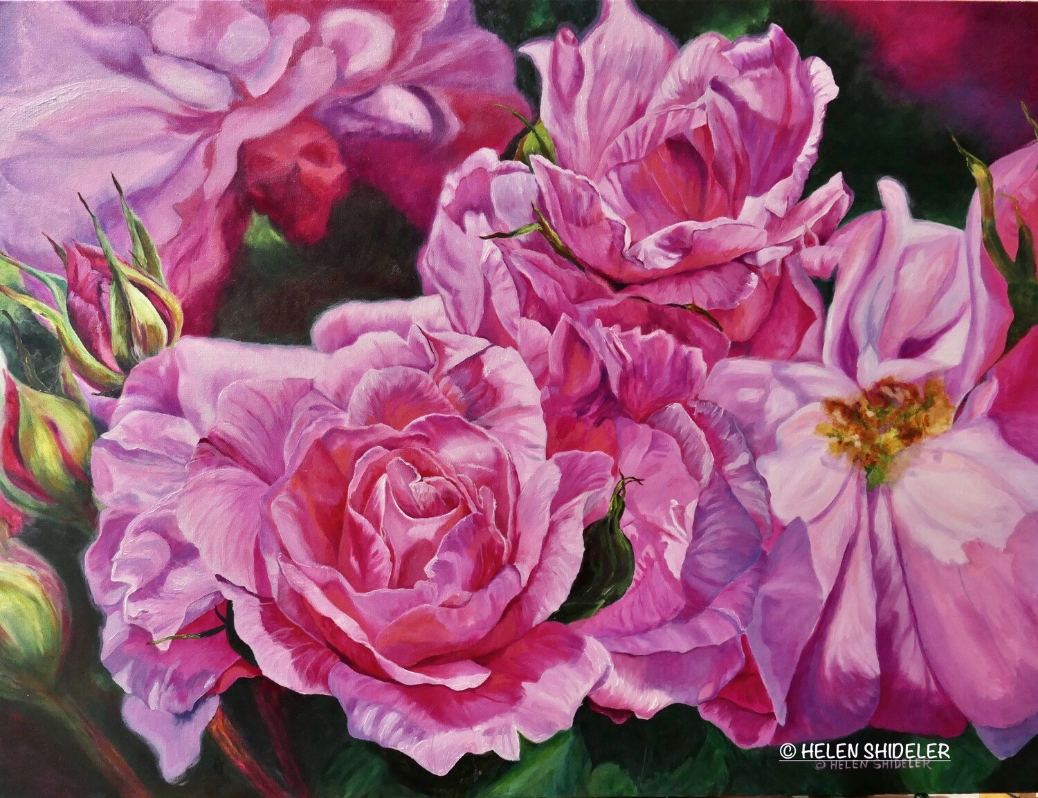"Elegance a Rose Story" Oil On Canvas 30x40" Framed