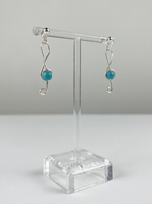 Sterling Silver Earrings with Stones