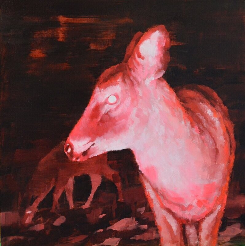 Theresa MacKnight Saint John New Brunswick Canada Handworks Canadian Painting, Oil, &quot;Ginger&quot; Deer
