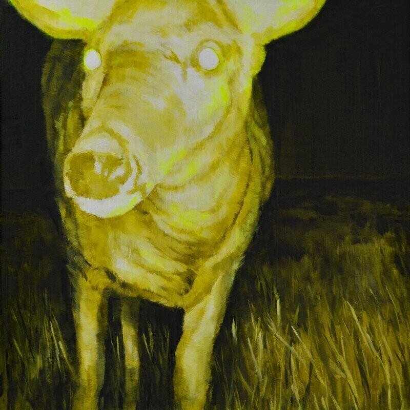 Theresa MacKnight Saint John New Brunswick Canada Handworks Canadian Painting, Oil, &quot;Are You Still Here&quot; ​Deer