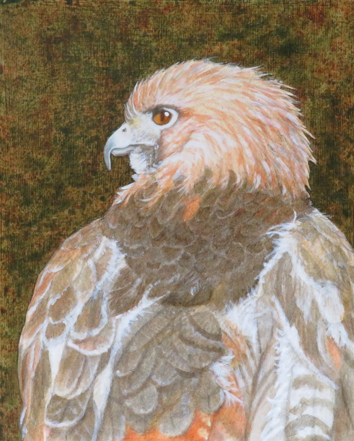 "Red-Tailed Hawk" Mixed Media on Wood Canvas 9x12"