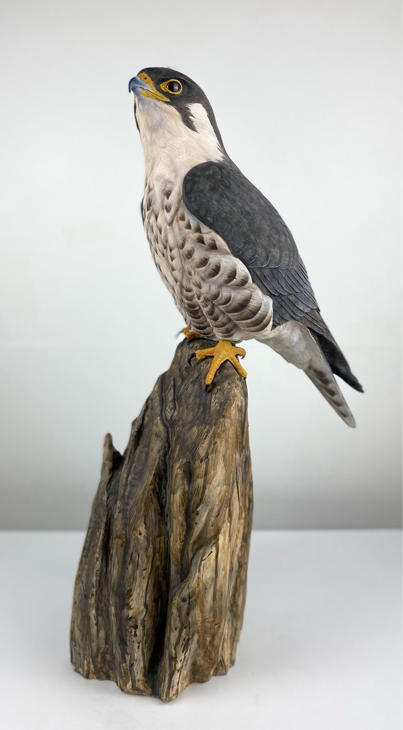 Peregrine Falcon Wood Sculpture 21.5x8.5x7.5&quot;