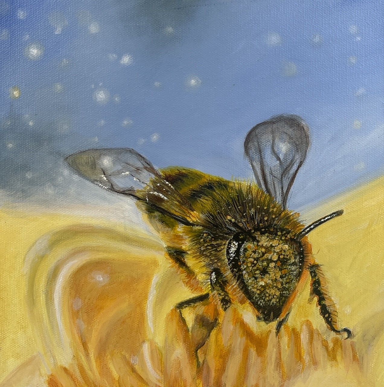 Melissa May Saint John New Brunswick Canada Handworks Canadian Acrylic Painter Realism Bumblebee Bee