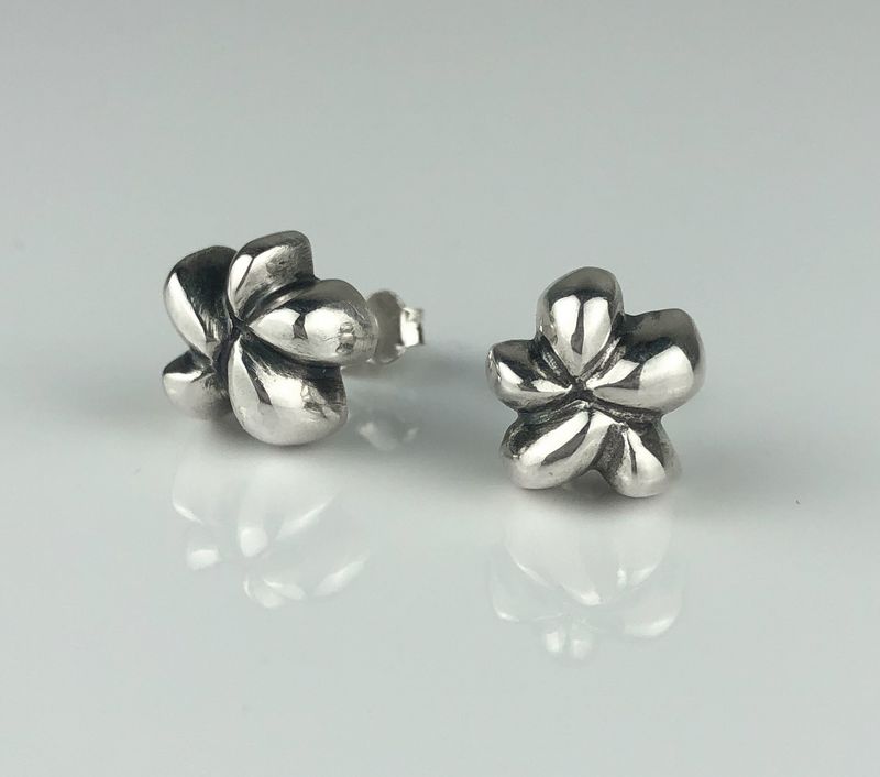 Sterling Silver Earrings