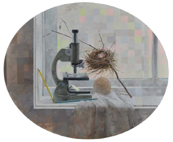 Theresa MacKnight Saint John New Brunswick Canada Handworks Canadian Painting, Oil, &quot;Natural History&quot; Microscope Bird&#39;s Nest