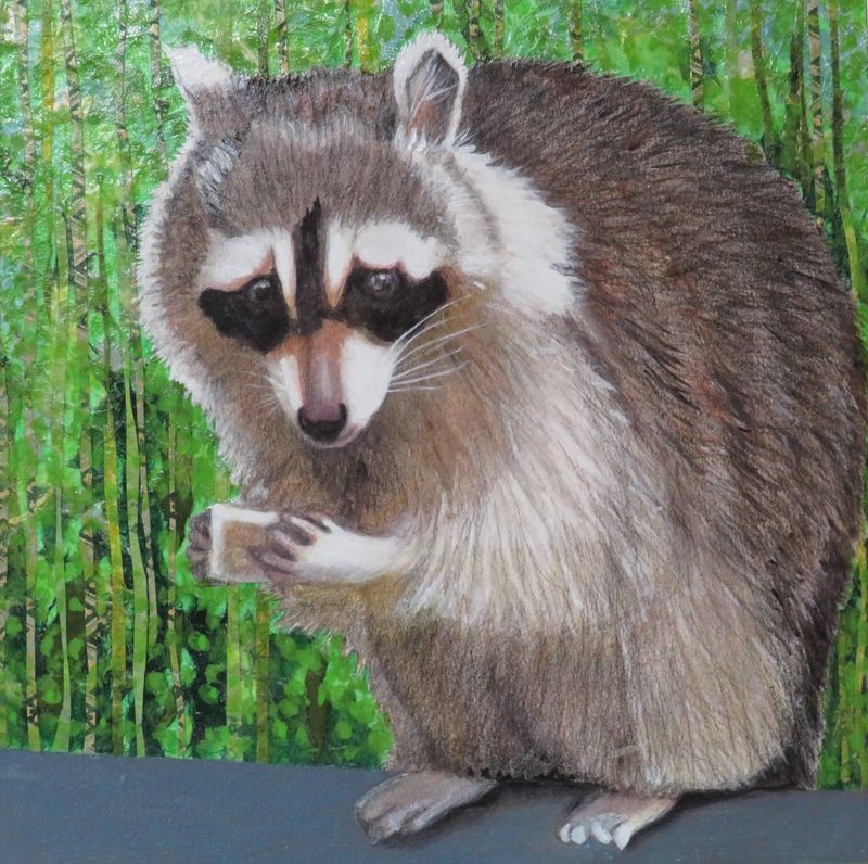 "Raccoon V" 12x12" Mixed Media on Wooden Canvas