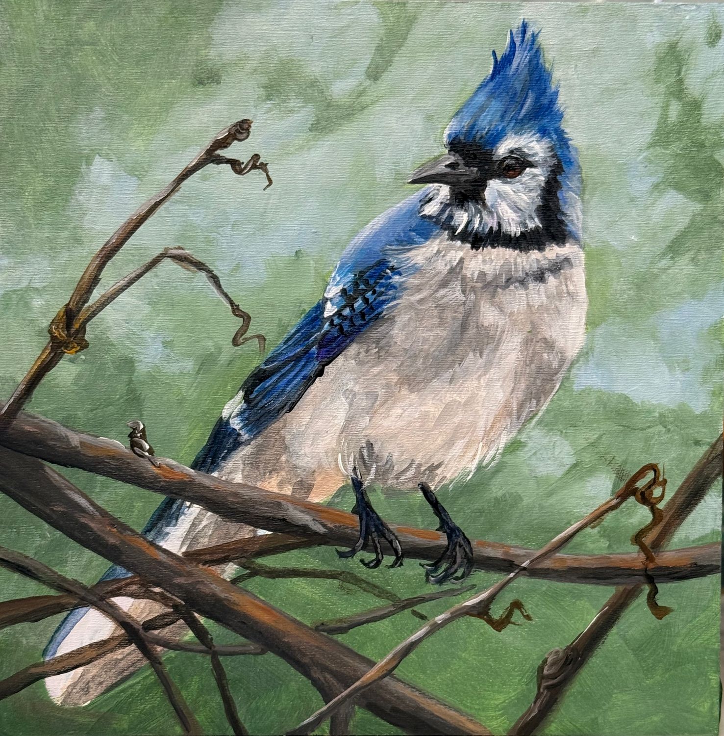"Regal in Blue" 6x6" Acrylic Painting