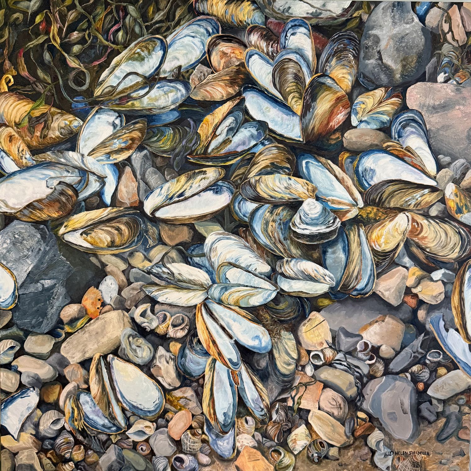 "Gathered by the Tide" 36x36x1.5" Oil on Canvas