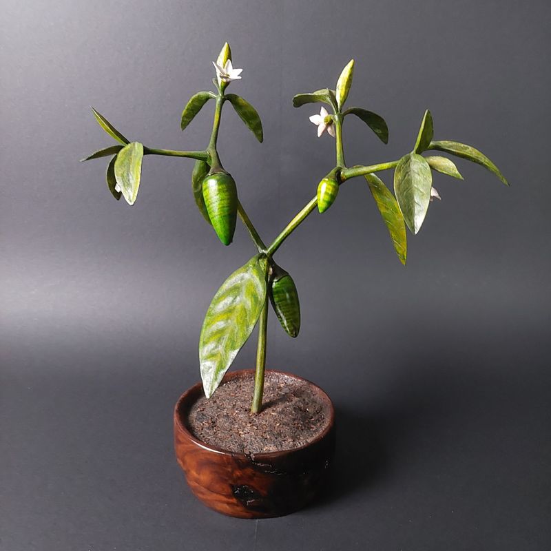 "Thriving Jalapeno" Curly Maple & Walnut Wood Sculpture
