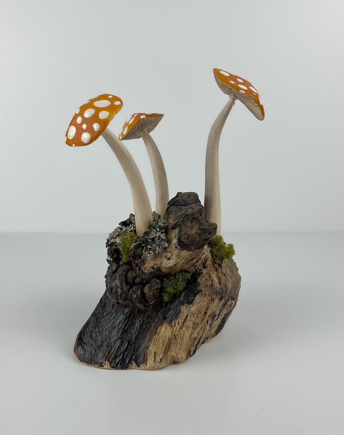 Spotted Triple Whimsical Mushroom Sculpture on Driftwood 8x6x3"