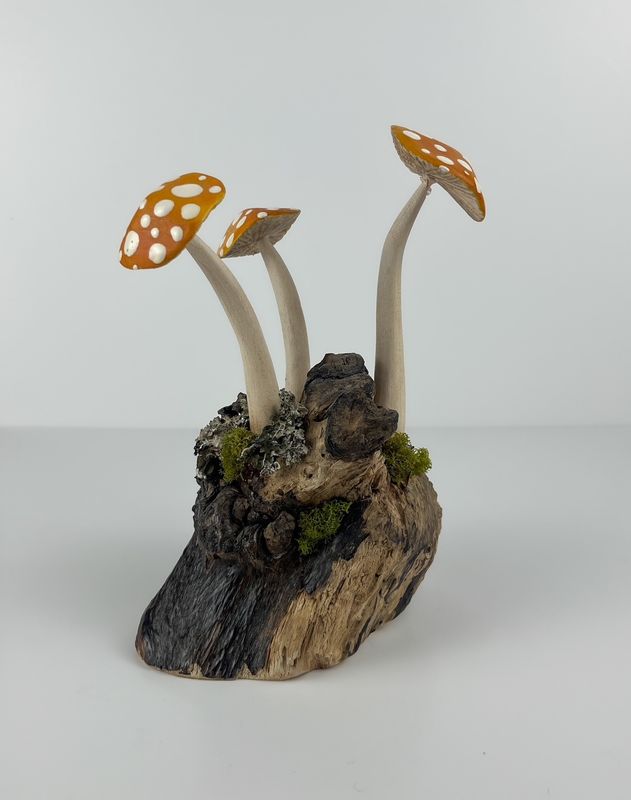 Spotted Triple Whimsical Mushroom Sculpture on Driftwood 8x6x3"