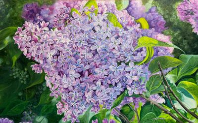 Helen Shideler
