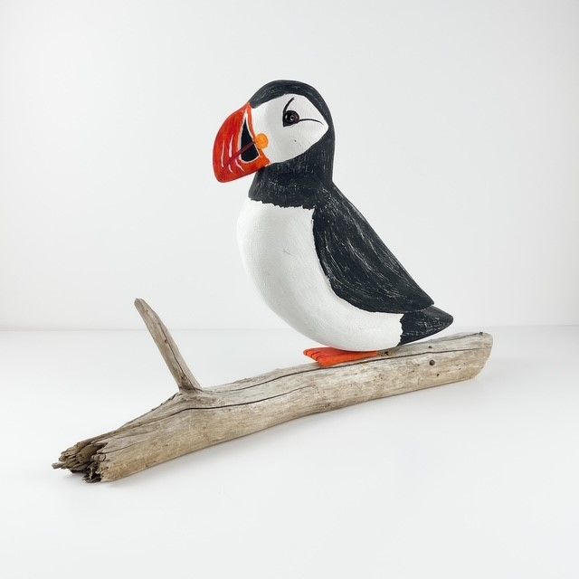 Puffin on Driftwood