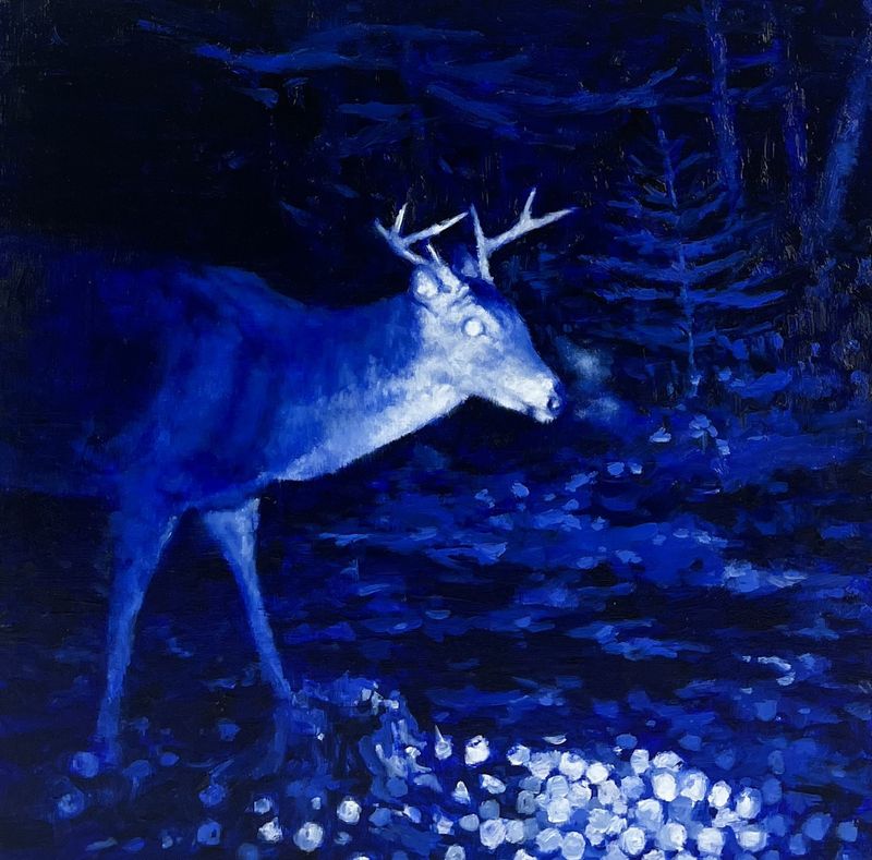 "Blue Buck" 12x12" Oil on Wood
