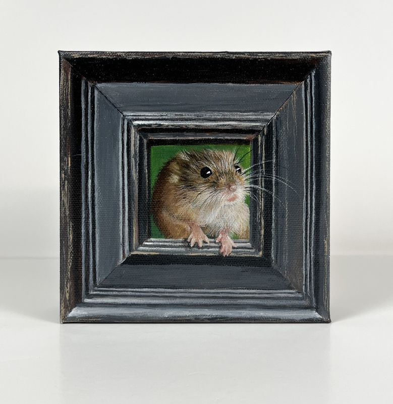 "Curiosity" 6x6" Acrylic Painting on Canvas