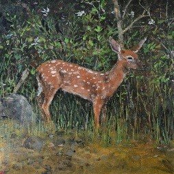 Theresa MacKnight Saint John New Brunswick Canada Handworks Canadian Painting, Encaustic on wood, "Fawn" ​Deer