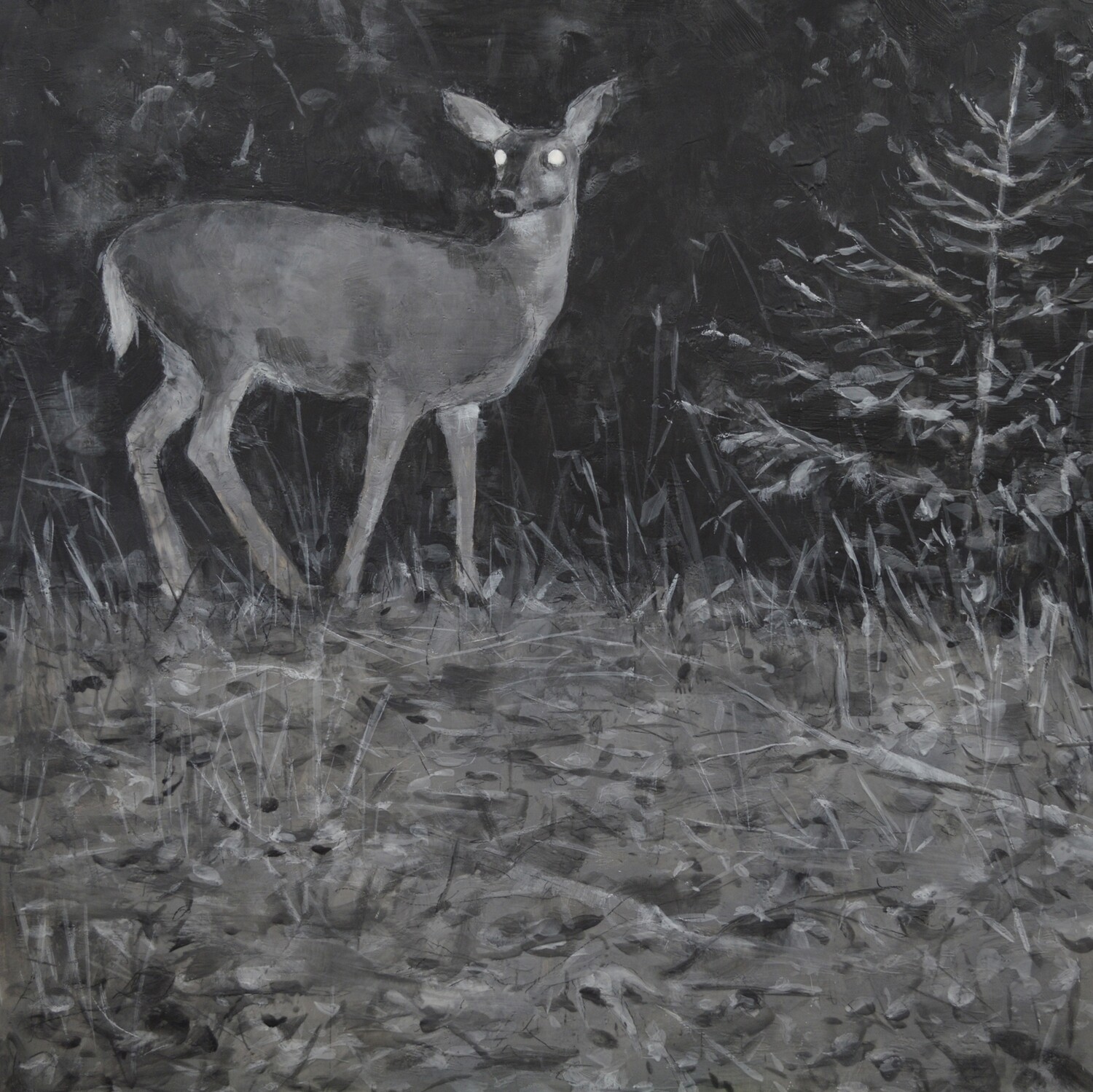 Theresa MacKnight Saint John New Brunswick Canada Handworks Canadian Painting, Encaustic, "Trail Cam Deer" 
