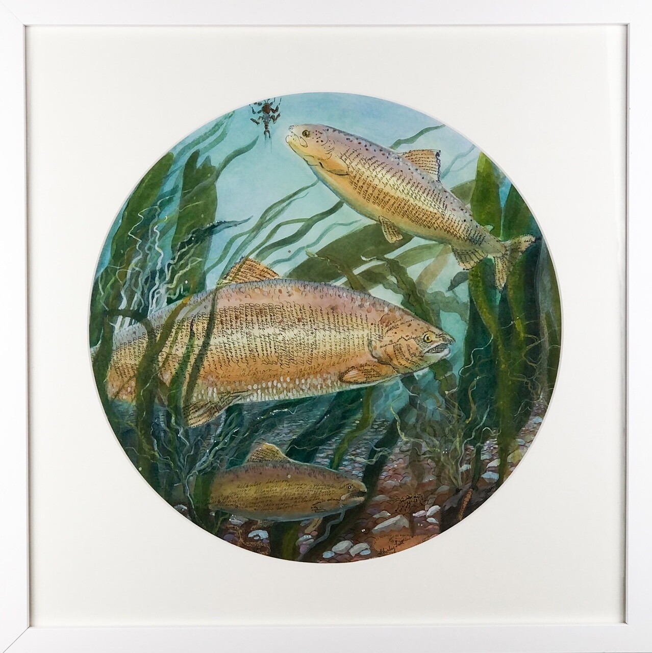 "Autumn Salmon" Watercolour & Pen and Ink Framed 18.5x18.5"