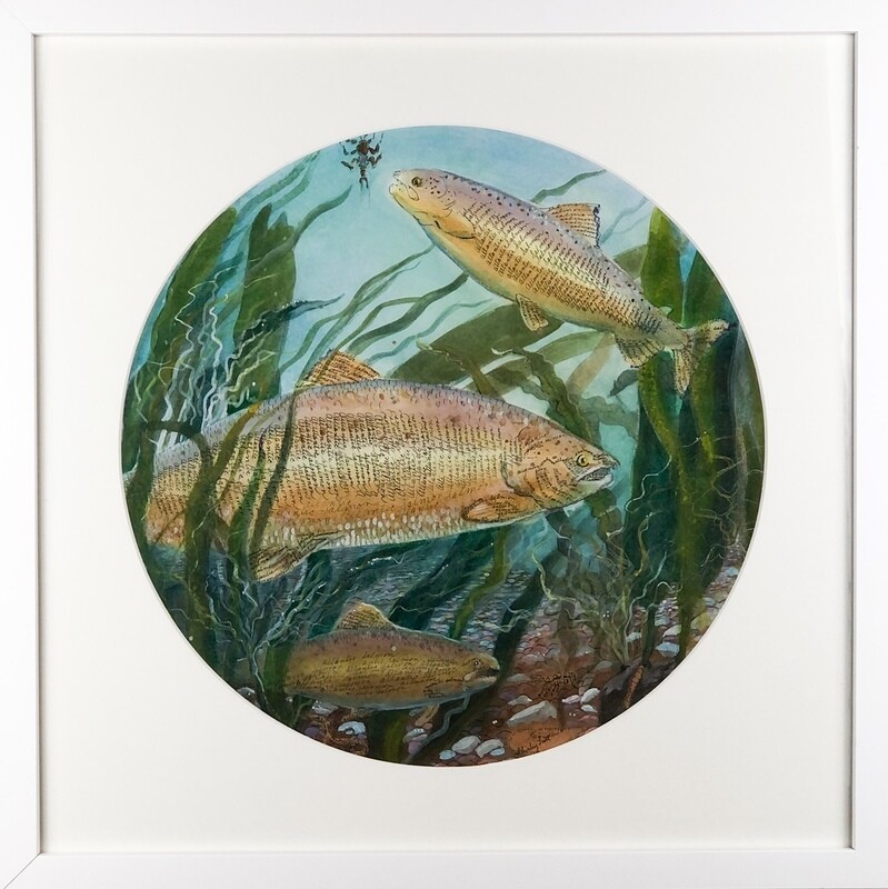 "Autumn Salmon" Watercolour & Pen and Ink Framed 18.5x18.5"