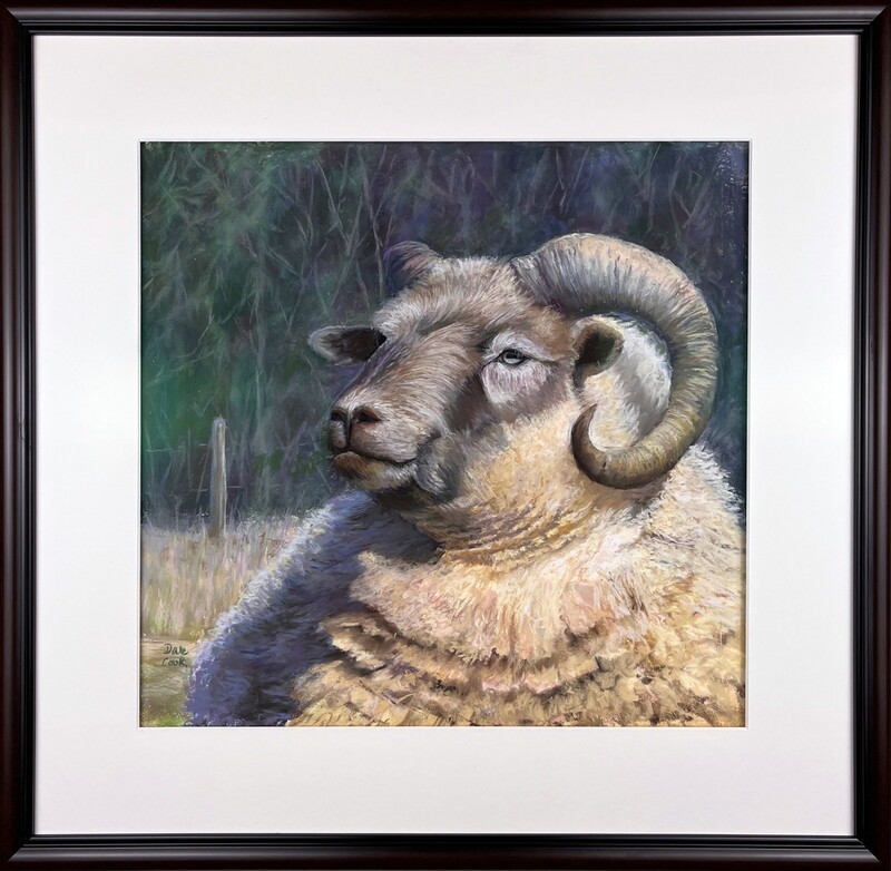 Dale Cook Artist Painter Handworks Gallery Saint John New Brunswick NB Pastel on Paper Ramses Ram Sheep Farm Animal Livestock