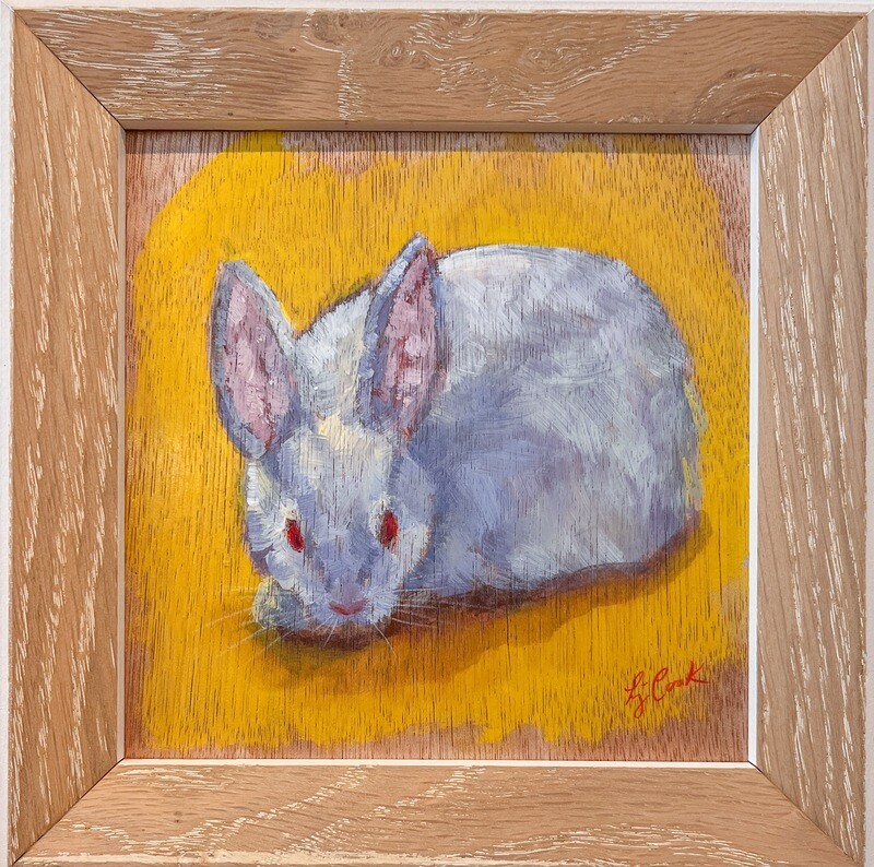 Elizabeth Cook Artist Painter Handworks Gallery Saint John NB Framed Acrylic Painting White Rabbit Bunny Hare Animal Nature
