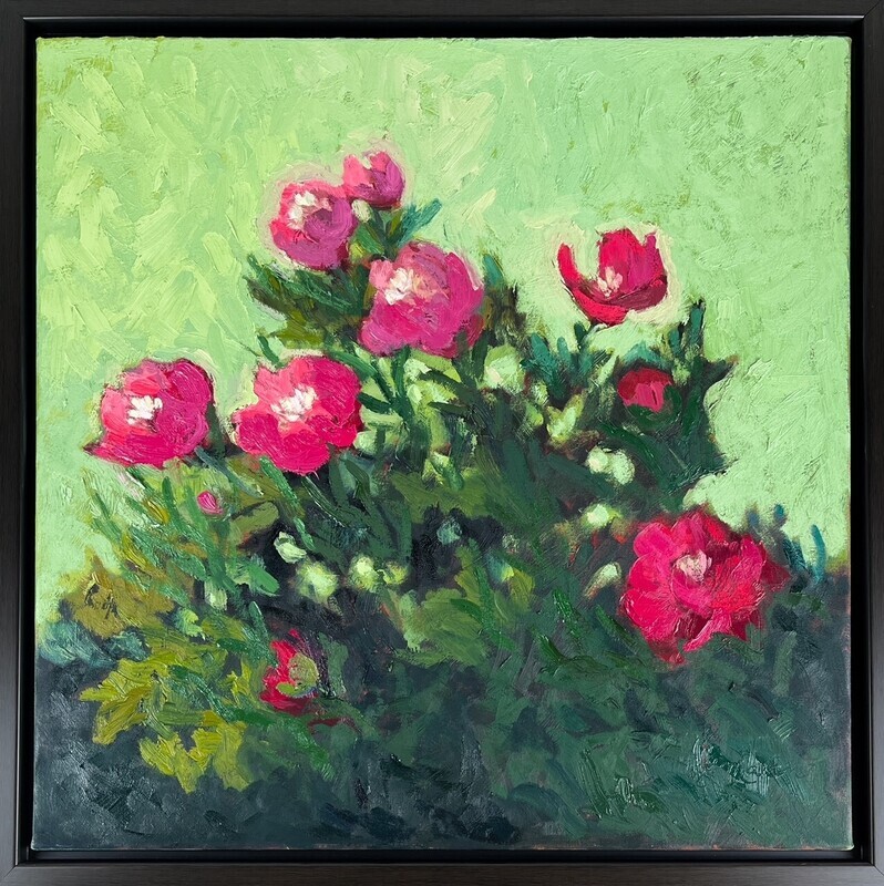 Pink Peony Bush in Garden with Vibrant Green Background. Landscape by Painter Francine Martin