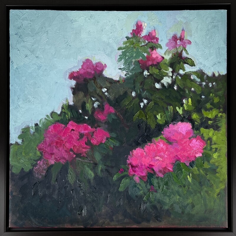Bright pink rhododendron Garden with Blue Skies by Painter Francine Martin