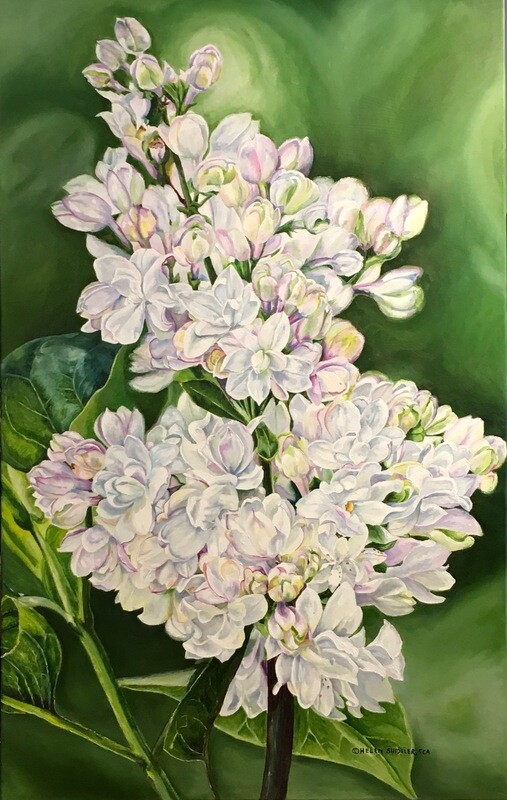 Helen Shideler Artist Painter Handworks Gallery Saint John New Brunswick NB Oil Painting White Flowers Floral Garden Nature