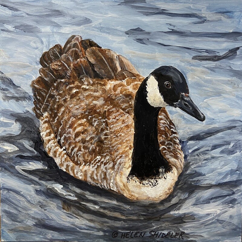 Helen Shideler Artist Painter Handworks Gallery Saint John New Brunswick NB Acrylic Painting Canada Goose Canadian Geese Bird