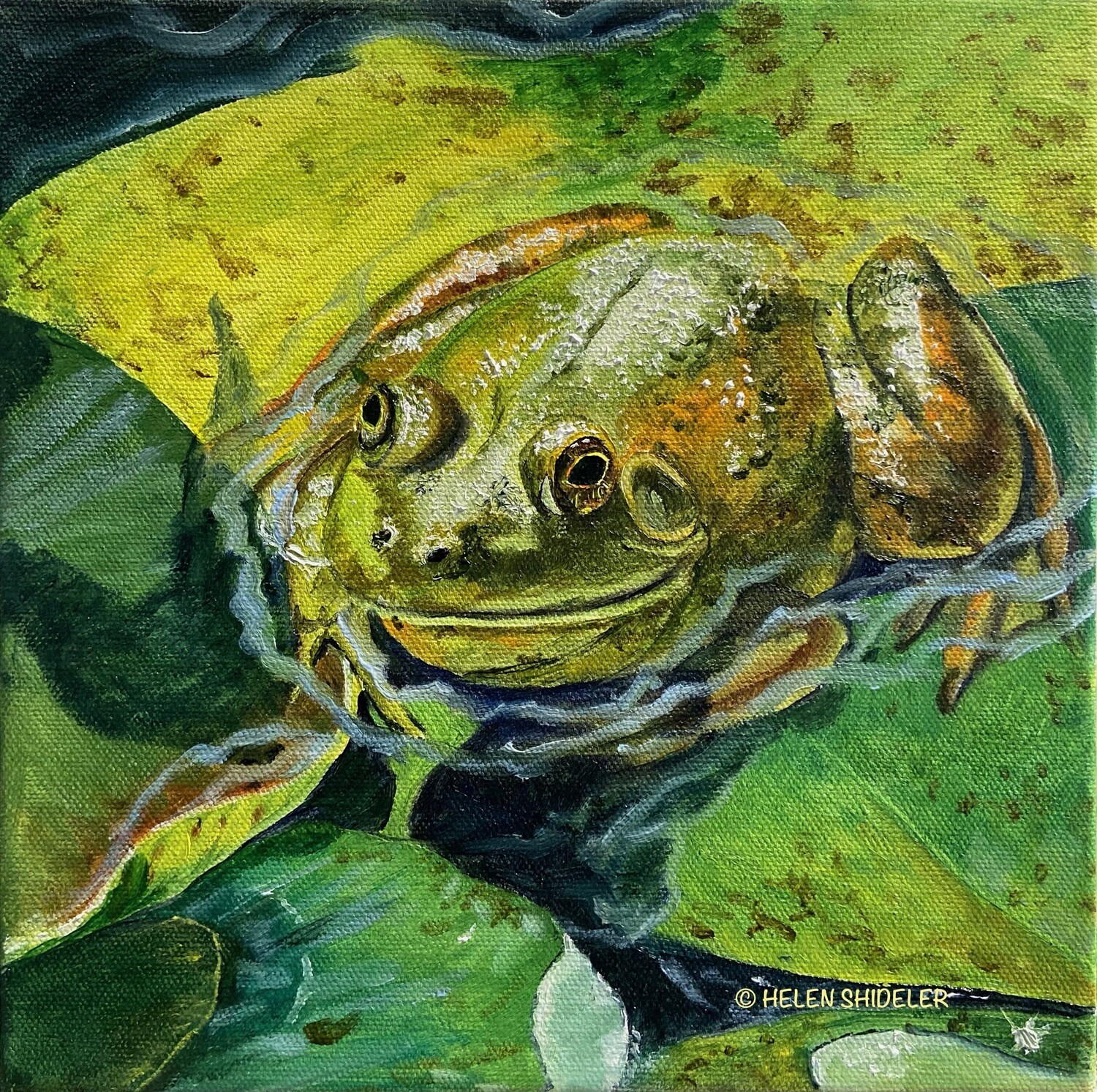 Helen Shideler Artist Painter Handworks Gallery Saint John NB Painting Frog Swamp Lilypad Lily Pad Water Nature Animal