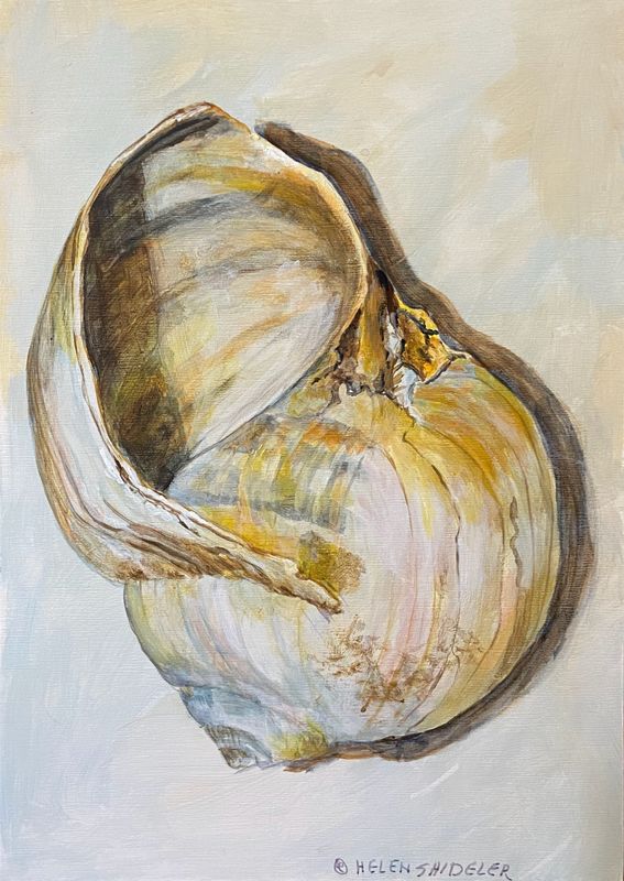 Helen Shideler Artist Painter Handworks Gallery Saint John New Brunswick Acrylic Painting Snail Shell Beach Seashell Nature