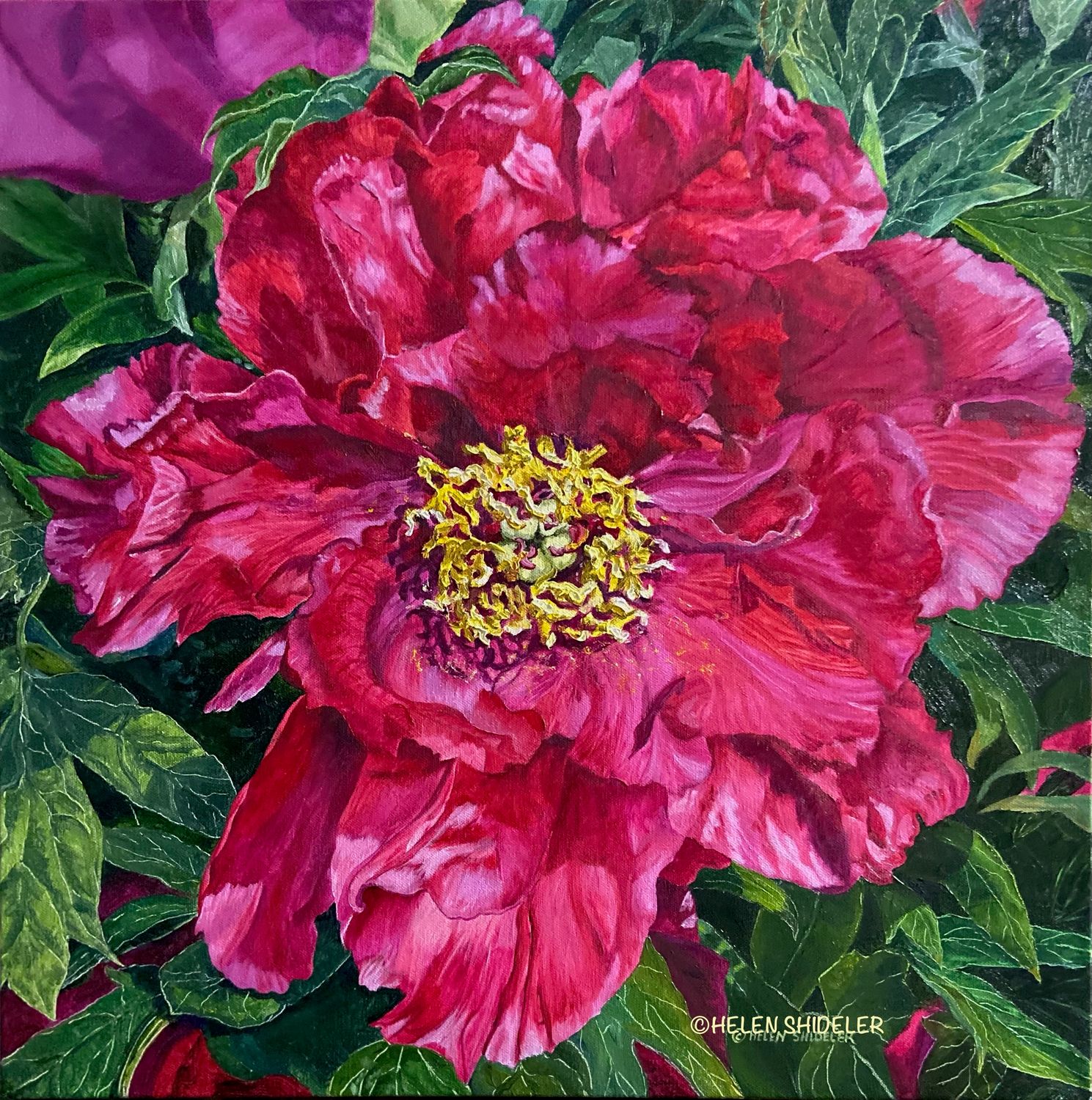 Helen Shideler Artist Painter Handworks Gallery Saint John New Brunswick NB Oil Painting Pink Dalhia Flower Floral Garden