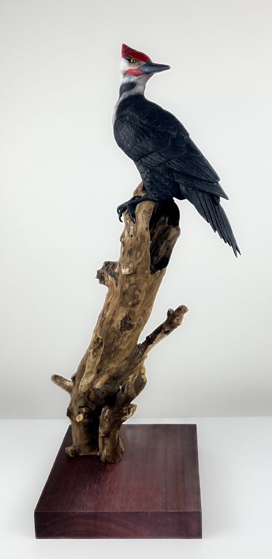 Timothy Griffin Saint John New Brunswick Canada Handworks Gallery Canadian Woodwork Artist Pileated Woodpecker Wood Sculpture