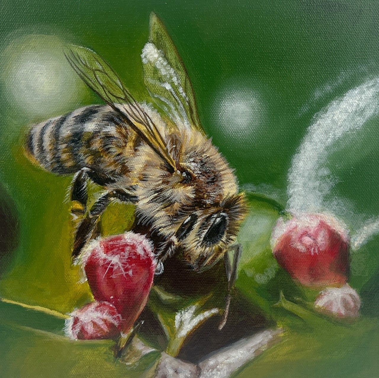 Melissa May Saint John New Brunswick Canada Handworks Canadian Acrylic Painter Realism Bumblebee Bee