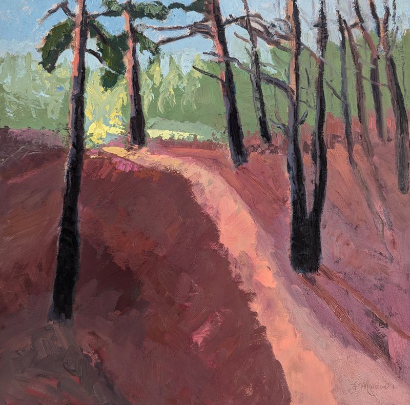 Trail in Forest Landscape with blue Skies
