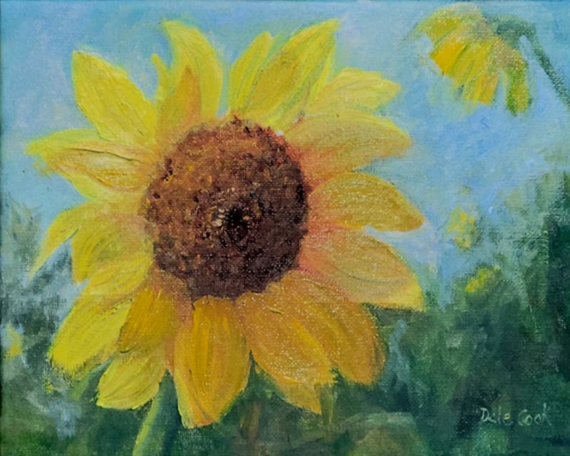 Dale Cook Artist Painter Handworks Gallery Saint John New Brunswick NB Oil Painting Flower Sunflower Floral Garden Yellow