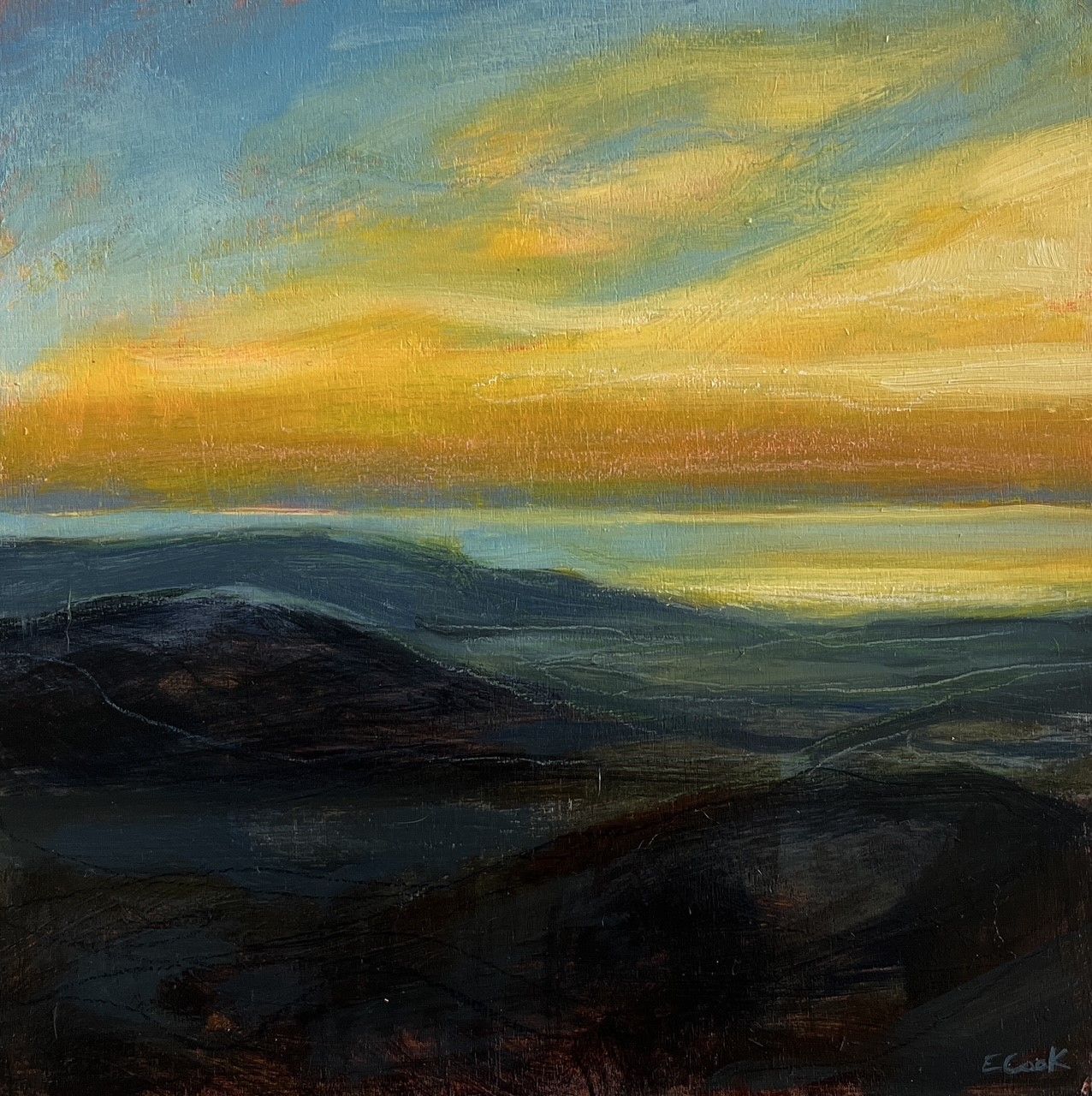Elizabeth Cook Artist Painter Handworks Gallery Saint John New Brunswick NB Acrylic Painting Coast Sunrise Seascape Dawn