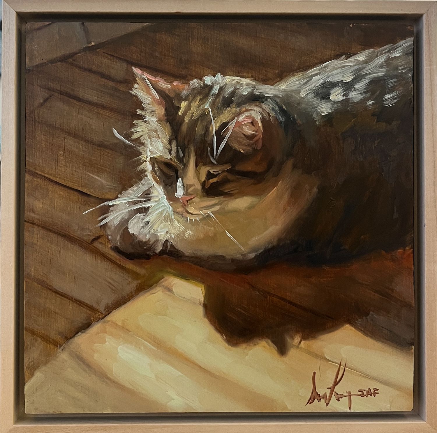 Sophie Levesque Artist Painter Handworks Gallery Saint John New Brunswick NB Oil Painting Cat Sunbeam Shadow Summer Sunshine