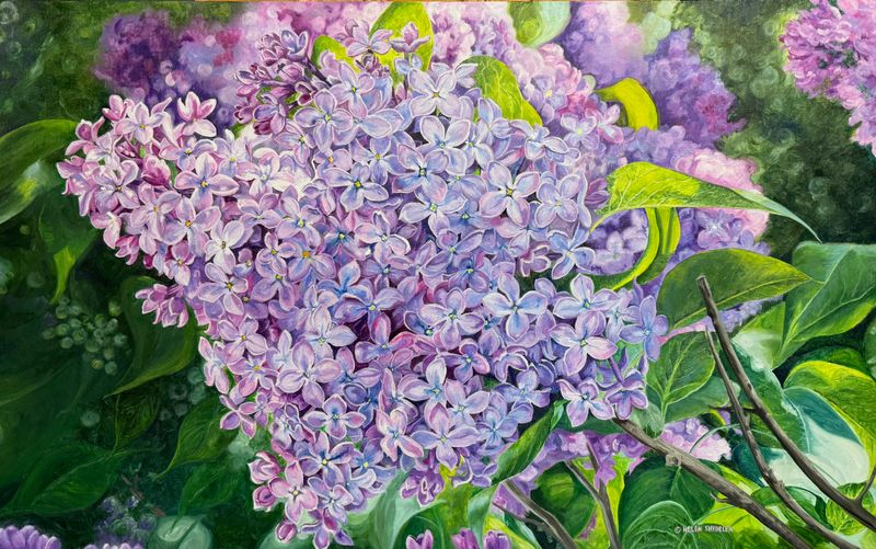Helen Shideler Artist Painter Handworks Gallery Saint John New Brunswick NB Oil Painting Purple Hydrangea Flower Floral