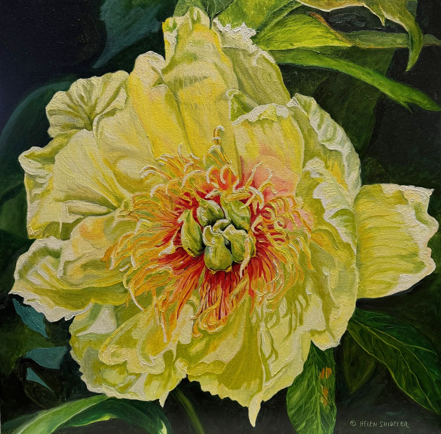 Helen Shideler Artist Painter Handworks Gallery Saint John New Brunswick NB Oil Painting Yellow Flower Floral Nature Garden