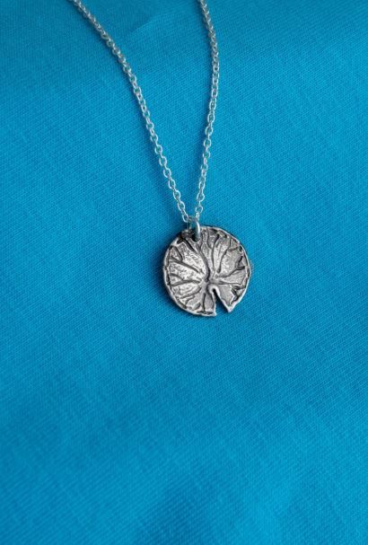 Lily Pad Collection Lily Pad Collection