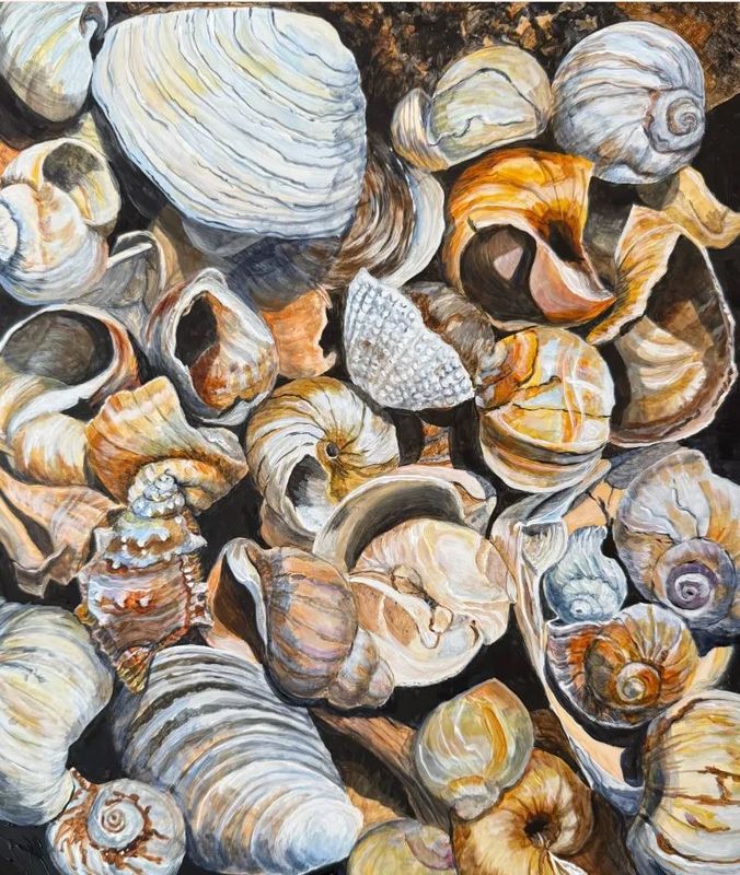 Helen Shideler Artist Painter Handworks Gallery Saint John New Brunswick Acrylic Painting Seashells Shell Snail Oyster Mussel