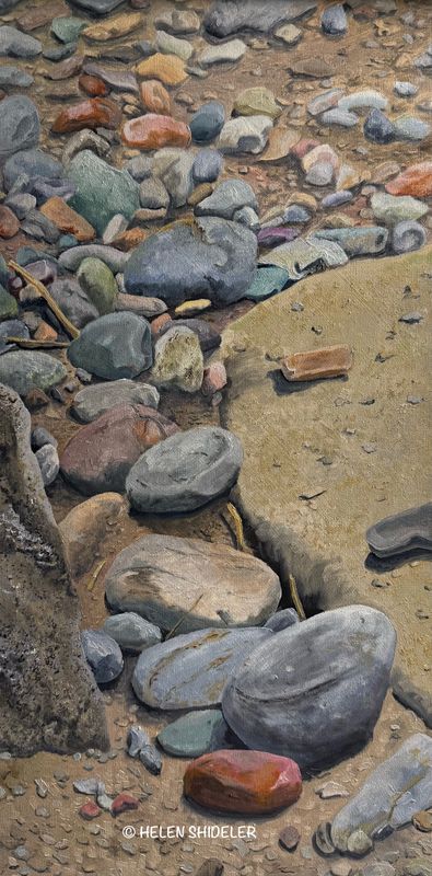 Helen Shideler Artist Painter Handworks Gallery Saint John New Brunswick Oil Painting Dog Black Retriever Stick Water Beach