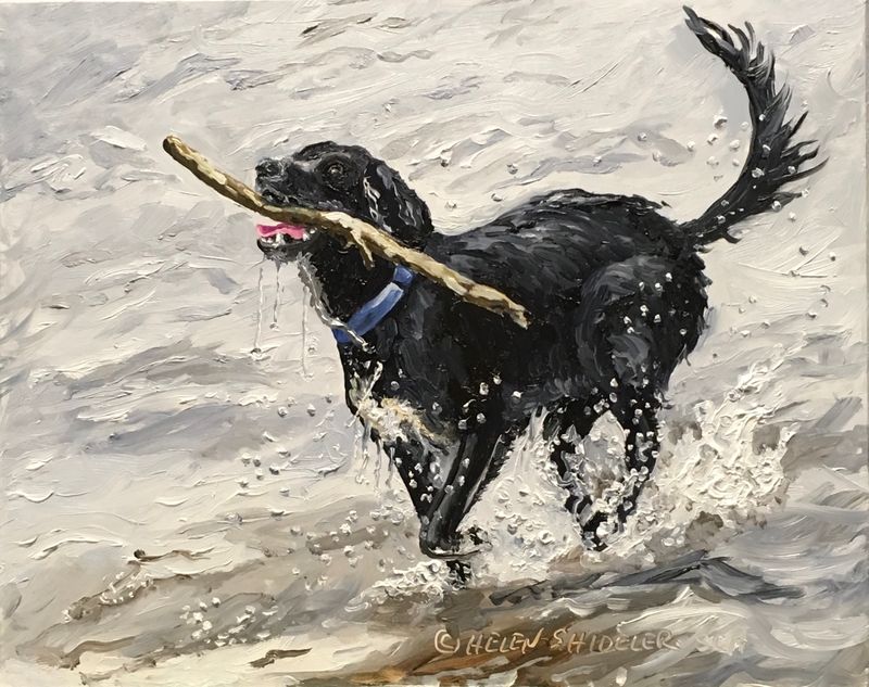 Helen Shideler Artist Painter Handworks Gallery Saint John New Brunswick Oil Painting Dog Black Retriever Stick Water Beach