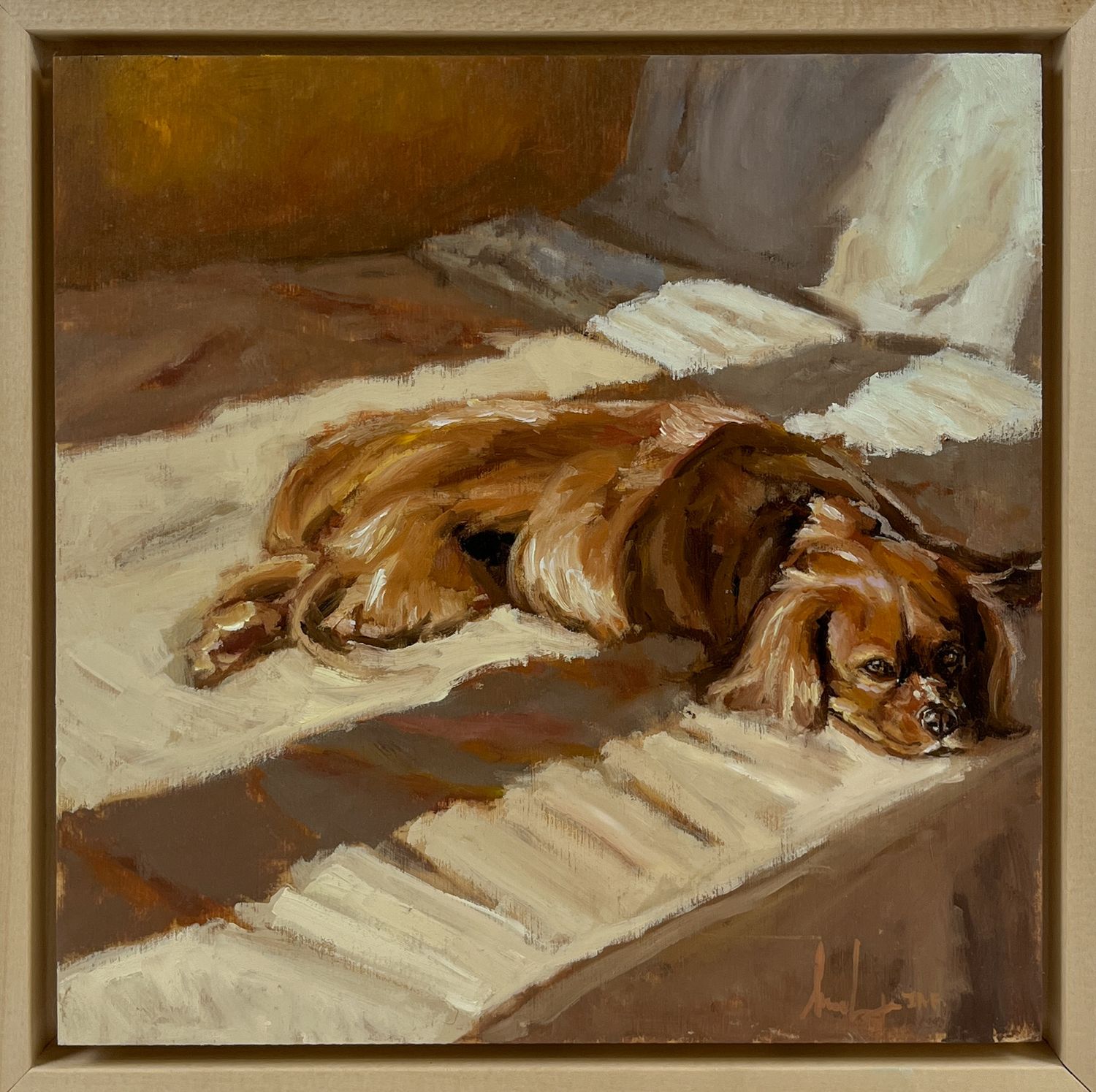 Sophie Levesque Artist Painter Handworks Gallery Saint John New Brunswick NB Oil Painting Dog Spaniel Sleeping Nap Sunbeam