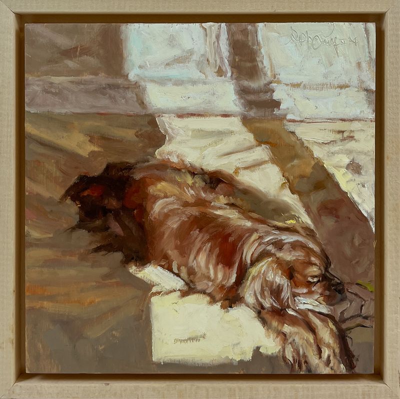 Sophie Levesque Artist Painter Handworks Gallery Saint John New Brunswick NB Oil Painting Dog Spaniel Sleeping Nap Sunbeam