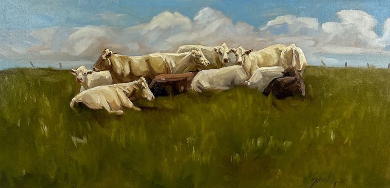 Sophie Levesque Artist Painter Handworks Gallery Saint John New Brunswick NB Oil Painting White Cows Herd Farm Meadow Field