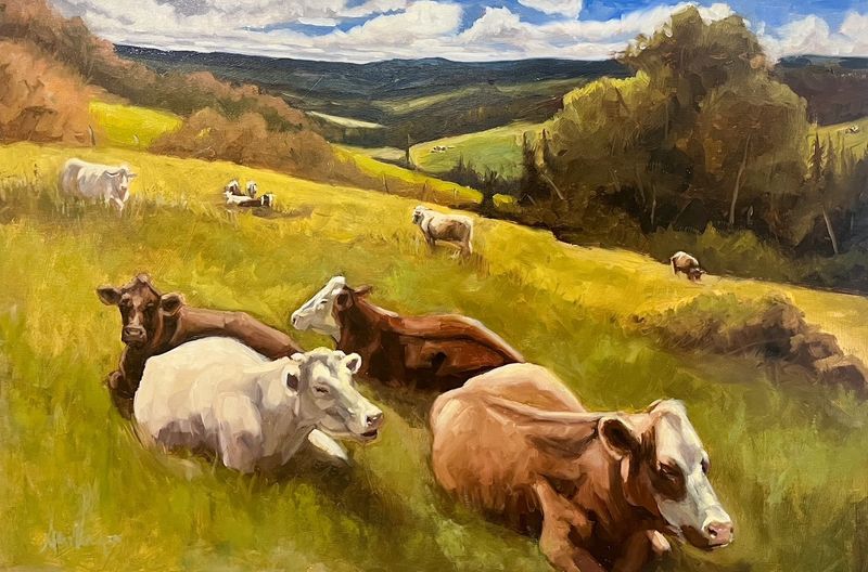 Sophie Levesque Artist Painter Handworks Gallery Saint John New Brunswick NB Oil Painting Cows Lying Herd Meadow Field Farm