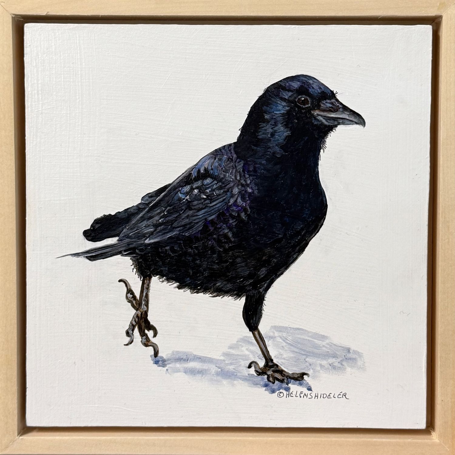 Helen Shideler Artist Painter Handworks Gallery Saint John New Brunswick NB Acrylic Painting Crow Raven Bird Animal Nature